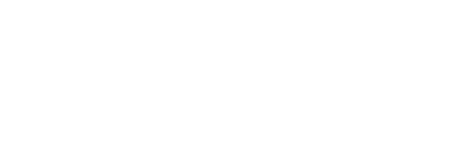 icon logohigh res white